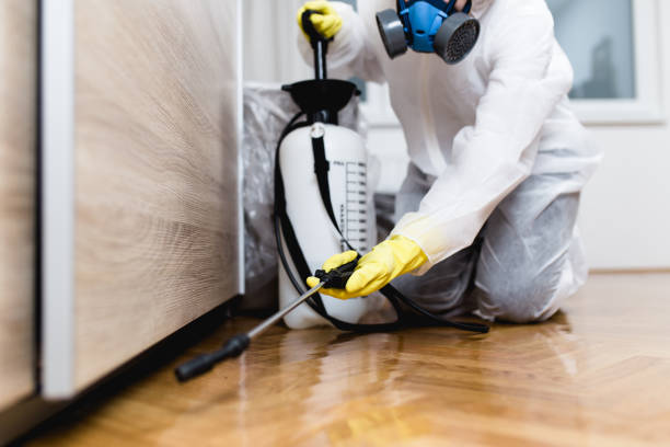 Pest Prevention Services in Fort Polk North, LA