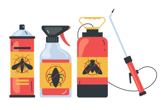 Best Termite Control Services  in Fort Polk North, LA