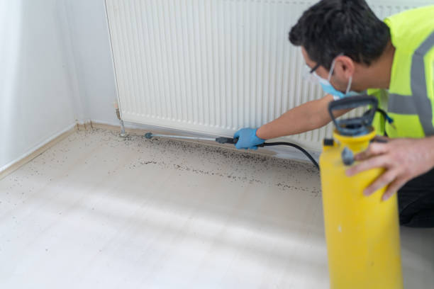 Best Pest Control Near Me  in Fort Polk North, LA