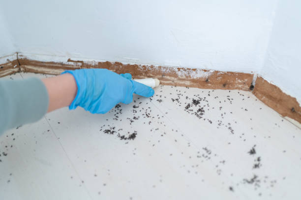 Best Cockroach Control Services  in Fort Polk North, LA